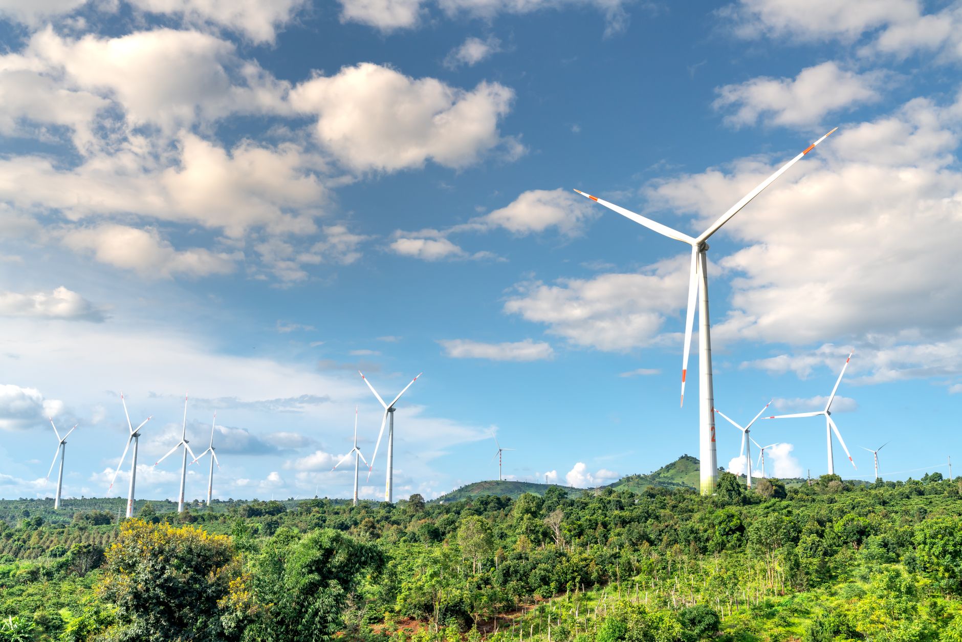 Wind turbines in a vast green landscape